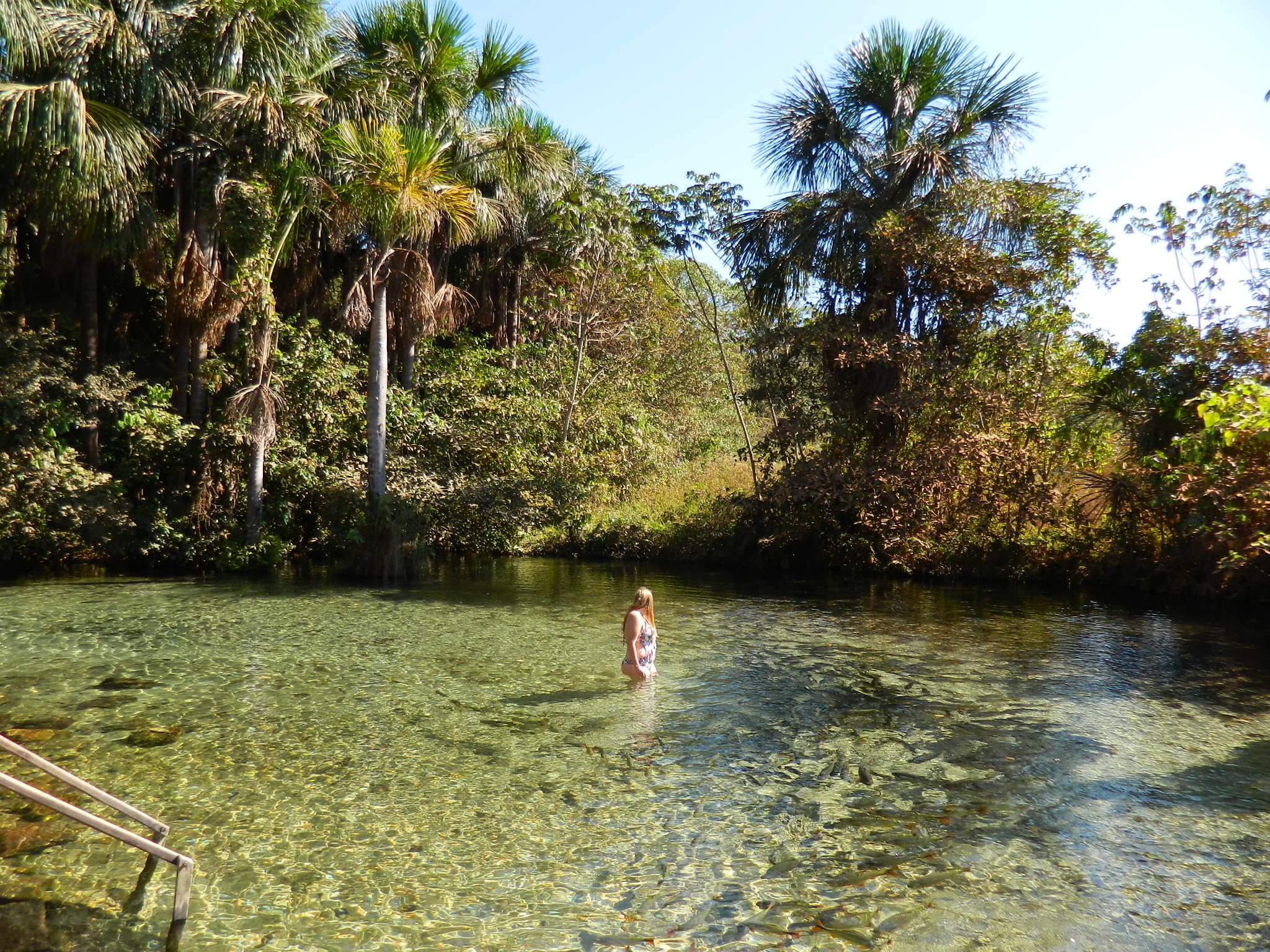 Nobres Estivado